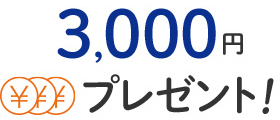 aE^piw̕ 3,000~v[gI