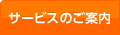�T�[�r�X�̂��ē�