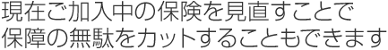 現在ご加入中の保険を見直すことで保障の無駄をカットすることもできます。