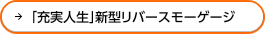 �u�[���l���v�V�^���o�[�X���[�Q�[�W
