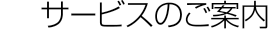�T�[�r�X�̂��ē�