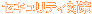 �Z�L�����e�B�΍�