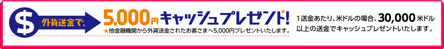 �O�ݑ����ŁA5,000�~�L���b�V���v���[���g�I