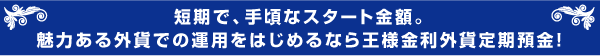 短期で、手頃なスタート金額。魅力ある外貨での運用をはじめるなら王様金利外貨定期預金!