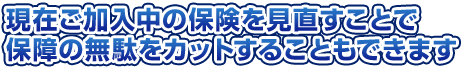 現在ご加入中の保険を見直すことで保障の無駄をカットすることもできます。