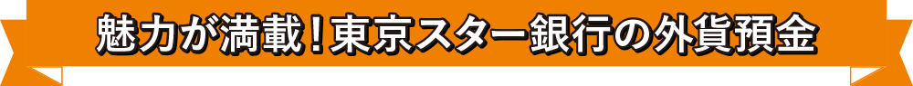 魅力が満載!東京スター銀行の外貨預金