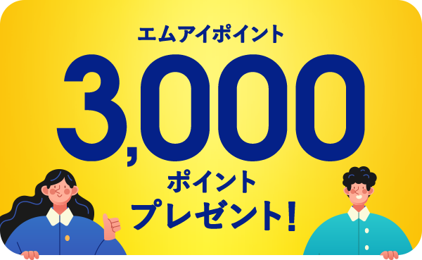 �G���A�C�|�C���g3,000�|�C���g�v���[���g