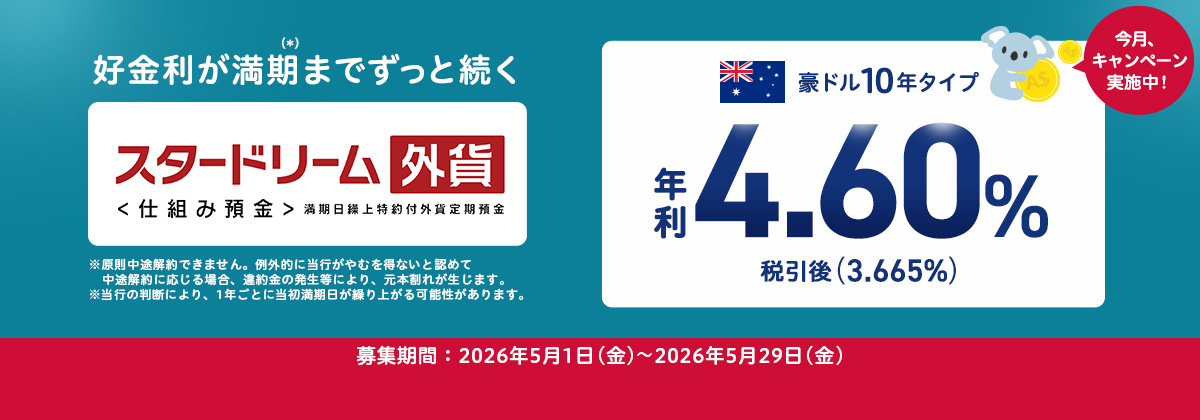 �X�^�[�h���[���O�ݒ�����d�g�ݗa�����̖��͂ƒ��ӓ_�����Љ�