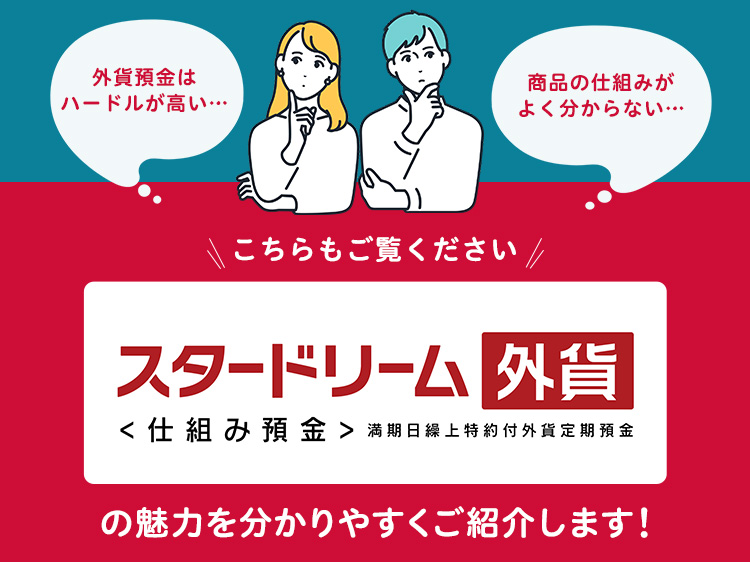 �X�^�[�h���[���O�ݒ���q�d�g�ݗa���r�̖��͂ƒ��ӓ_�ɂ��ĉ�����Ă��܂�