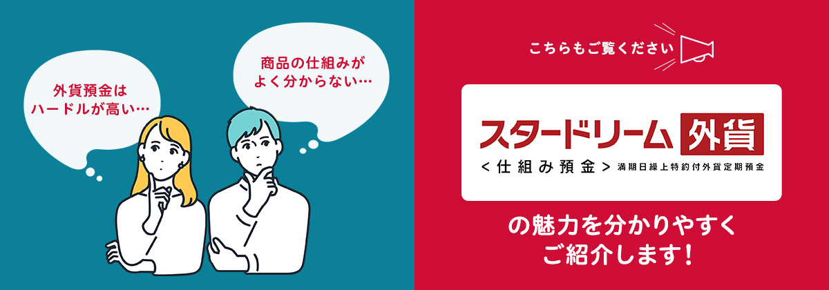 �X�^�[�h���[���O�ݒ���q�d�g�ݗa���r�̖��͂ƒ��ӓ_�ɂ��ĉ�����Ă��܂�