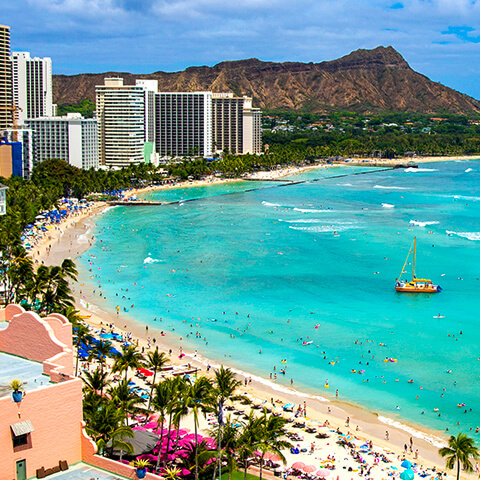 �摜�F�n���C�̃C���[�W