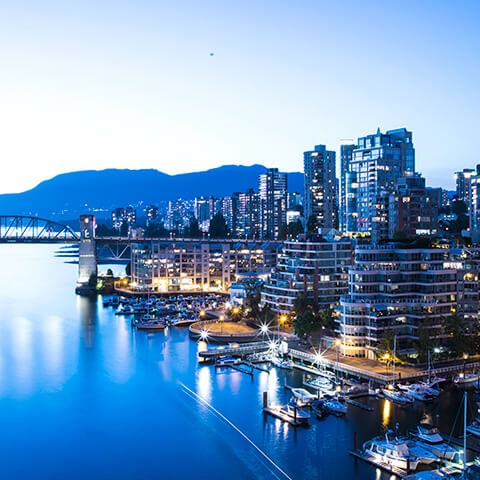 �摜�F�J�i�_�̃C���[�W