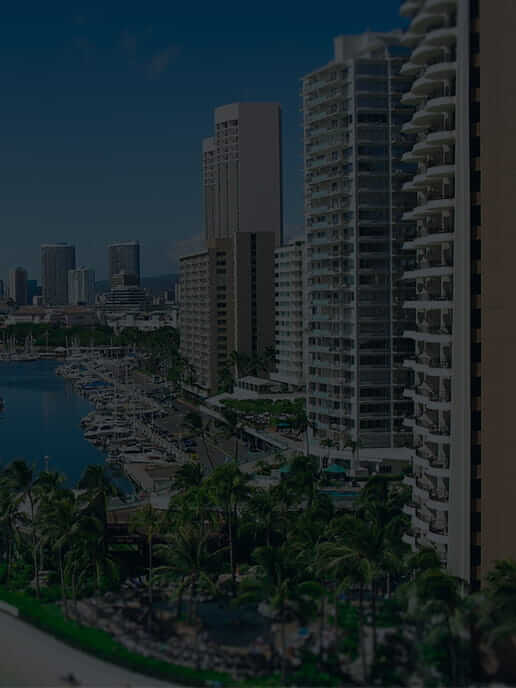 �摜�F�C���[�W�摜