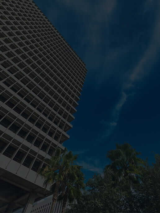 �摜�F�C���[�W�摜