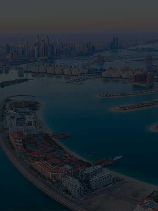 �摜�F�C���[�W�摜