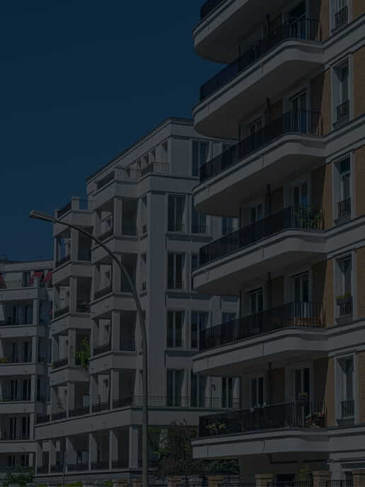 �摜�F�C���[�W�摜