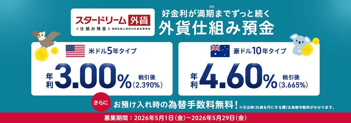 �X�^�[�h���[���O�ݒ�����d�g�ݗa�����̖��͂ƒ��ӓ_�����Љ�