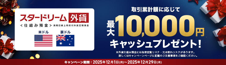 �X�^�[�h���[���O�ݒ���q�d�g�ݗa���r �L���b�V���v���[���g�L�����y�[��